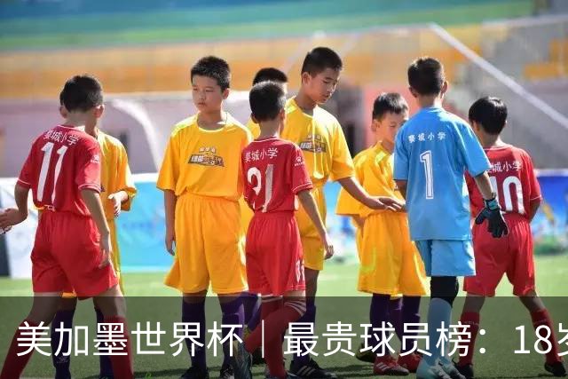 美加墨世界杯｜最贵球员榜：18岁亚马尔身价超4亿美金